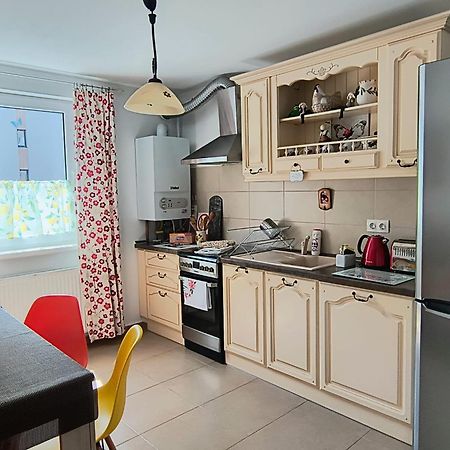 Sweet Butterflies Residence 布拉索夫 外观 照片