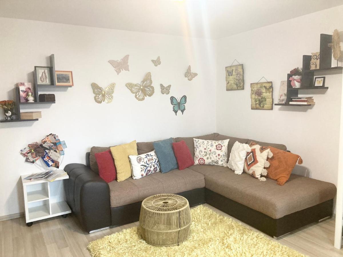 Sweet Butterflies Residence 布拉索夫 外观 照片