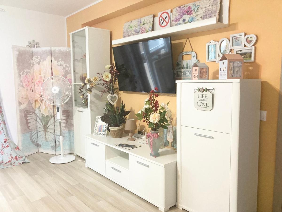 Sweet Butterflies Residence 布拉索夫 外观 照片
