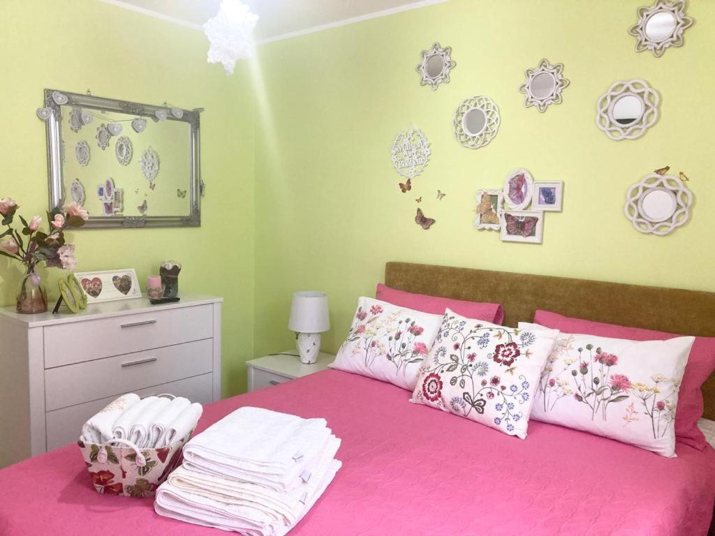 Sweet Butterflies Residence 布拉索夫 外观 照片