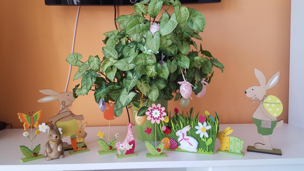 Sweet Butterflies Residence 布拉索夫 外观 照片