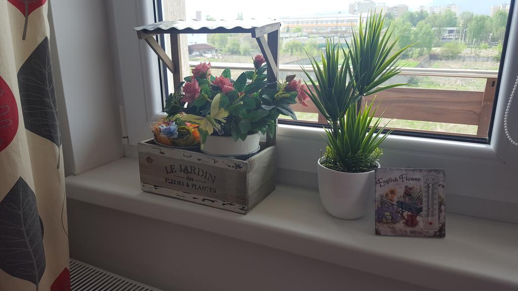 Sweet Butterflies Residence 布拉索夫 外观 照片
