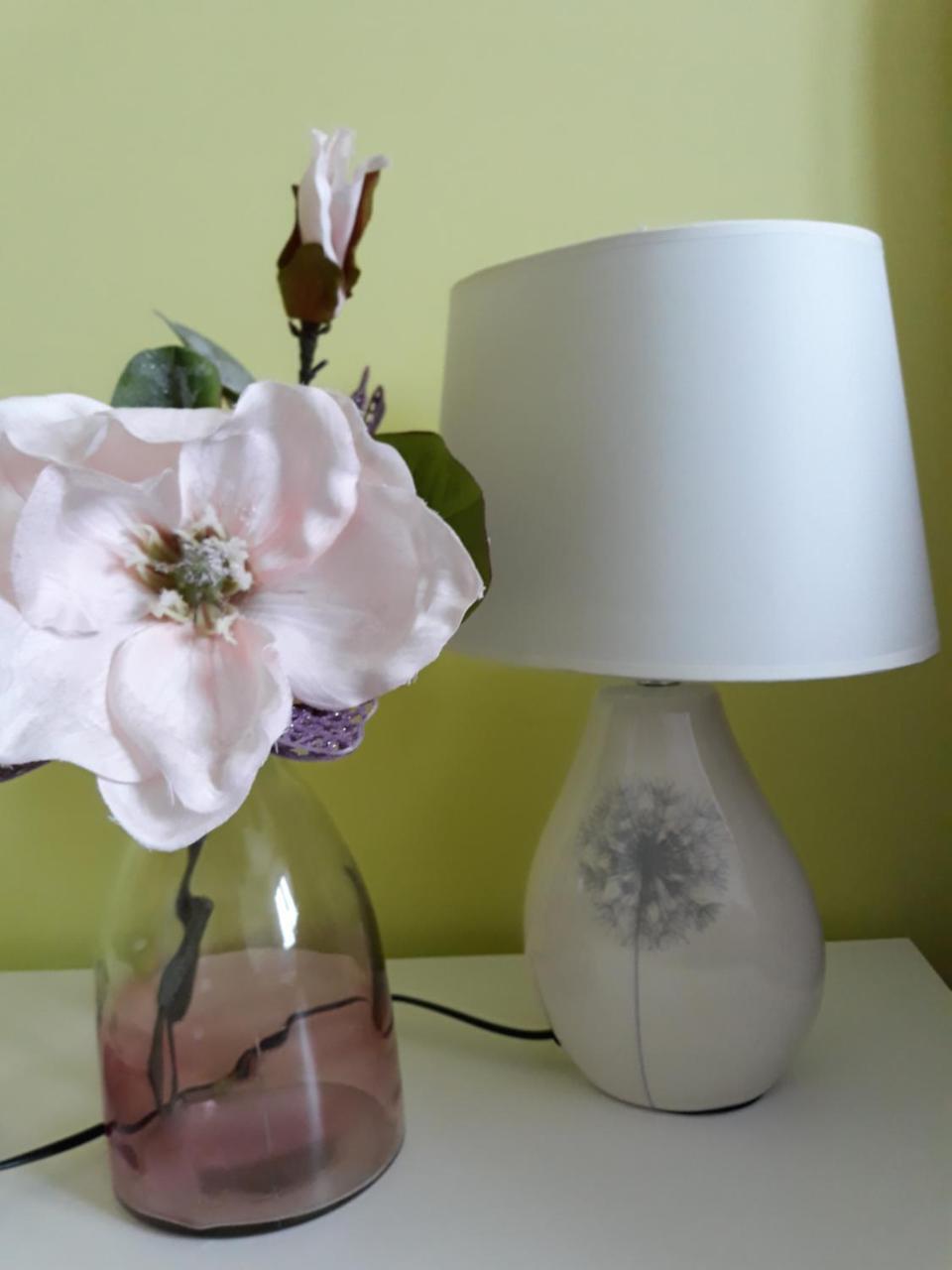 Sweet Butterflies Residence 布拉索夫 外观 照片