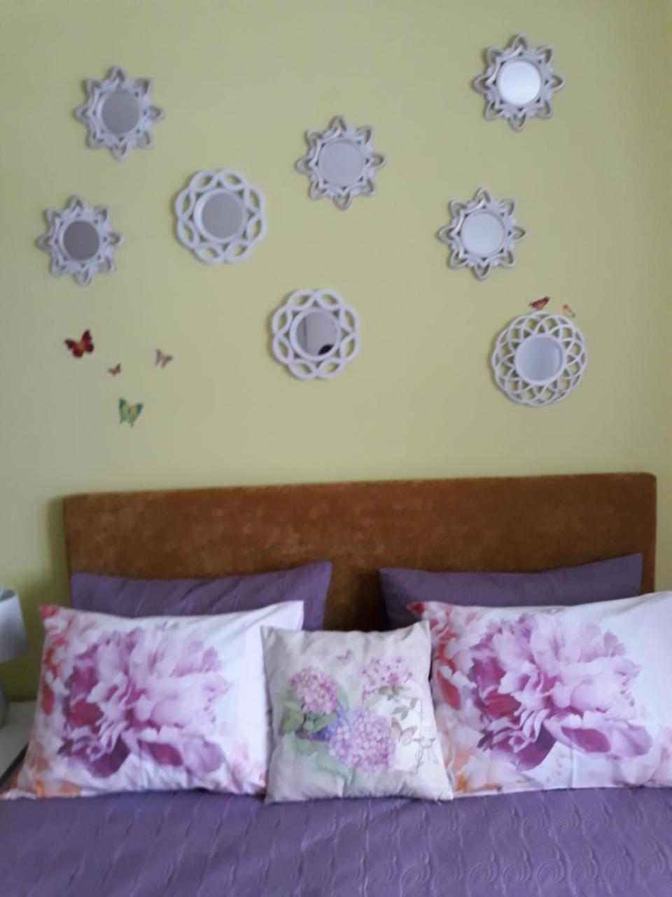 Sweet Butterflies Residence 布拉索夫 外观 照片