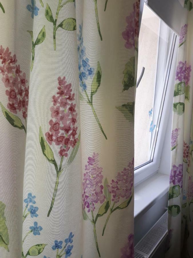 Sweet Butterflies Residence 布拉索夫 外观 照片