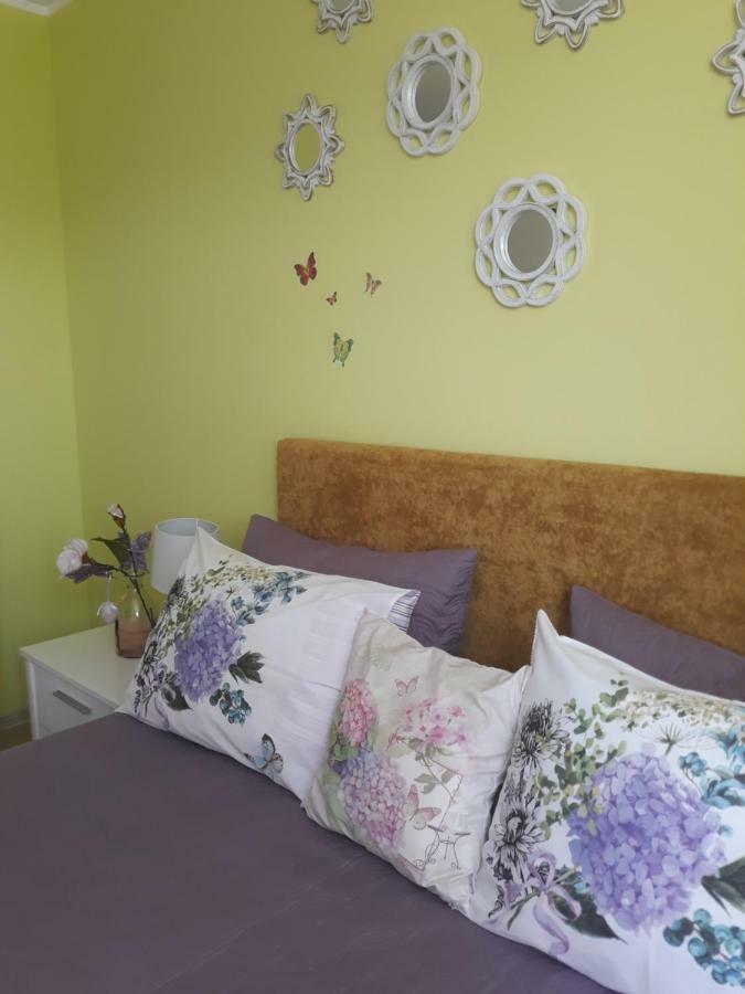 Sweet Butterflies Residence 布拉索夫 外观 照片